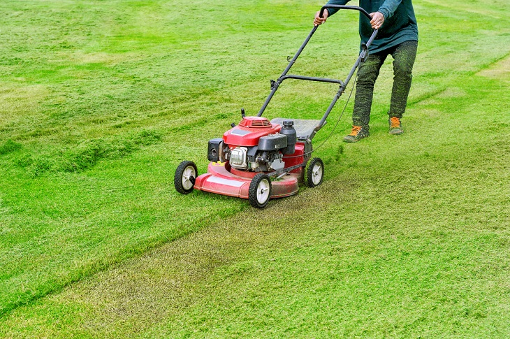 Why Are Lawn Mowers Important?